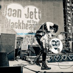 Joan Jett and the Blackhearts Forest Hills Stadium (Sat 5 30 15)_May 30, 20150172-Edit
